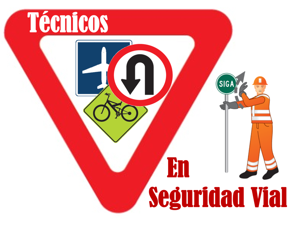 T&eacute;cnicos en seguridad vial